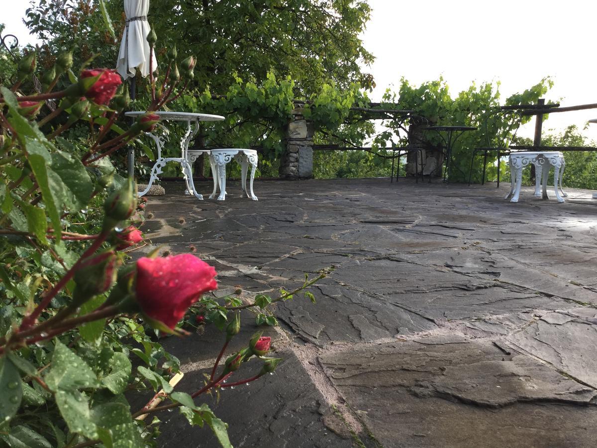 B&B Casa Della Musica Vezzano sul Crostolo Экстерьер фото