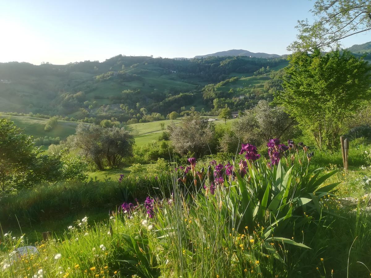 B&B Casa Della Musica Vezzano sul Crostolo Экстерьер фото